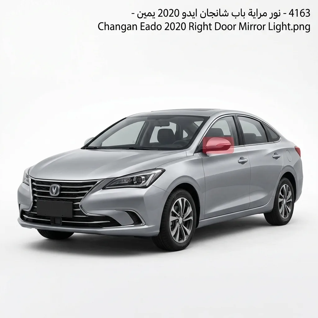 نور مراية باب شانجان ايدو 2020 يمين